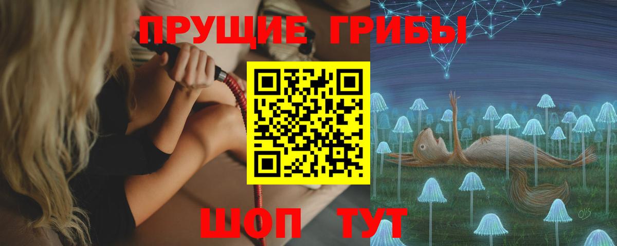Псилоцибиновые грибы Magic Shrooms  дарнет шоп  Славянск-на-Кубани  Галлюциногенные грибы прущие грибы  Вход с VPN 