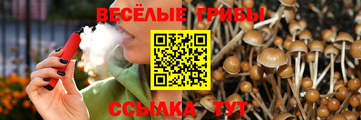 Псилоцибиновые грибы мицелий Славянск-на-Кубани